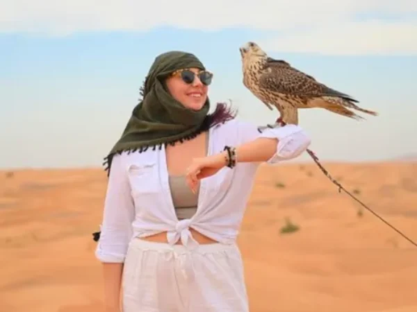Evening Desert Safari With Falcon Photo