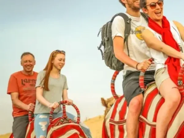 Premium Desert Safari